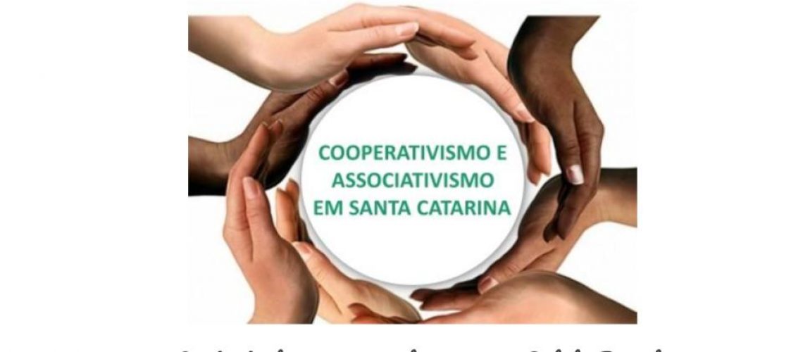 LIvro cooperativismo - Elisandra Forneck